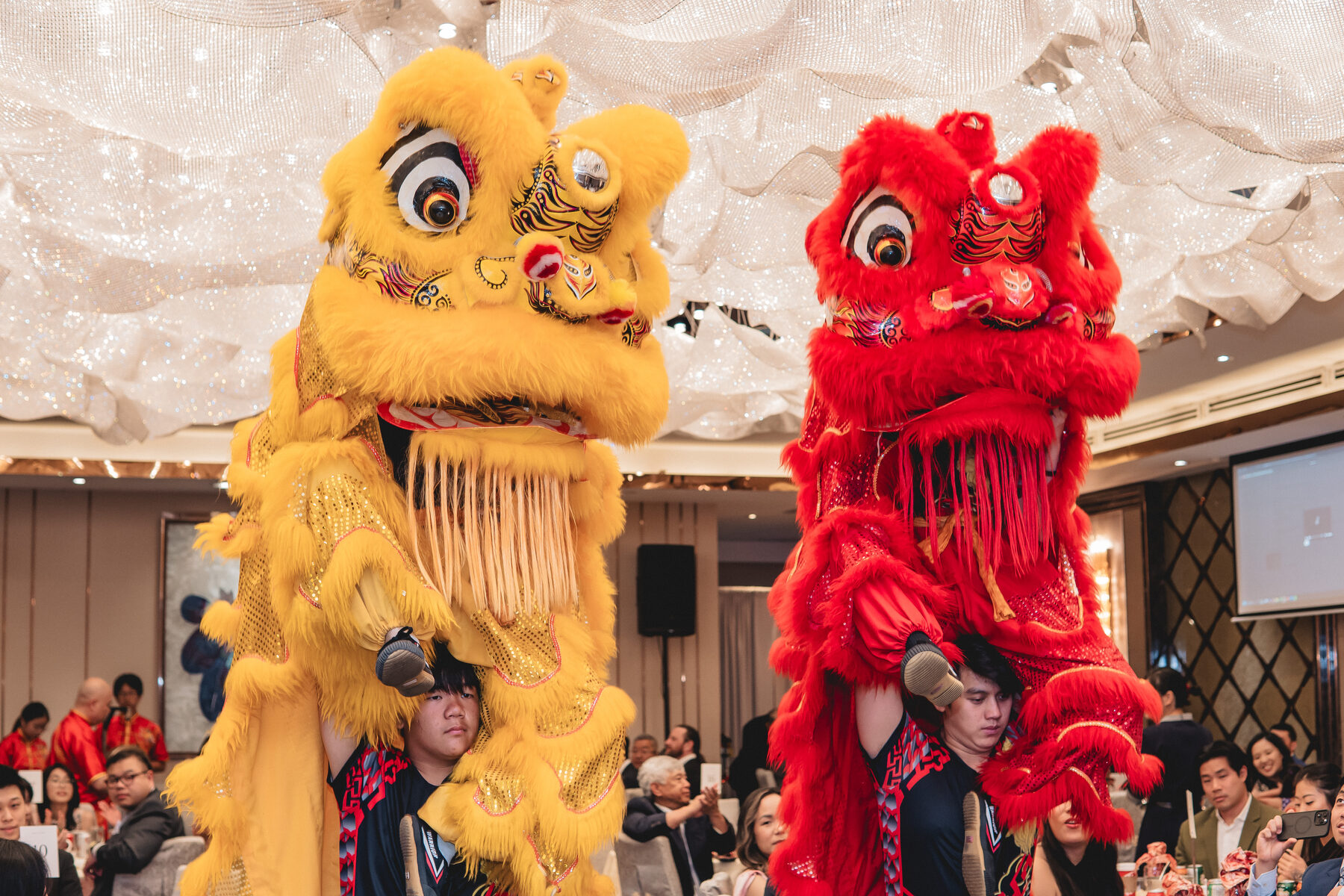 Close-up of the lion dance performers at Peter & Christine's reception.
